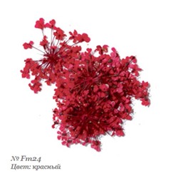 Severina, Сухоцвет для дизайна ногтей Fm24, красный