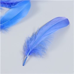 Набор декоративных перьев 160-190  мм (5 шт), синий