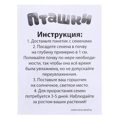 Набор для опытов «Пташки, выращиваем травку», фиолетовый горшочек