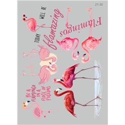21-30 Термотрансфер Птицы фламинго, полноцвет 25х35см