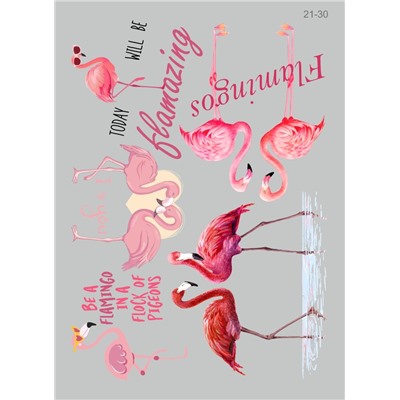 21-30 Термотрансфер Птицы фламинго, полноцвет 25х35см