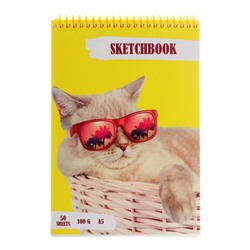 Скетчбук А5, 50 листов на гребне "Крутой кот", обложка мелованный картон, жёсткая подложка, матовая ламинация, выборочный лак, блок 100 г/м²