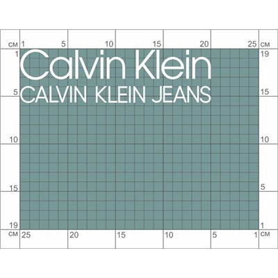 06-131 Термотрансфер Calvin Klein jeans белый 6х20 см