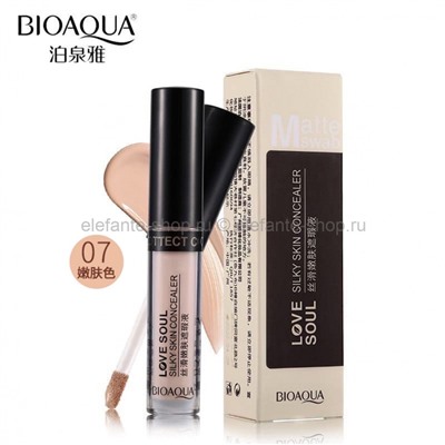 Консилер для маскировки недостатков кожи BioAqua Love Soul Silky Skin Concealer (106)