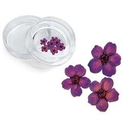 Severina, Сухоцвет для дизайна ногтей F7, фиолетовый