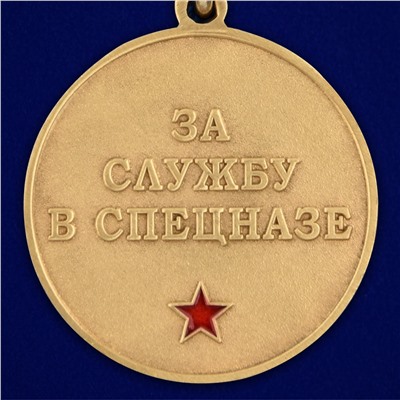 Медаль За службу в 19 ОСН "Ермак" в футляре с удостоверением, №2863
