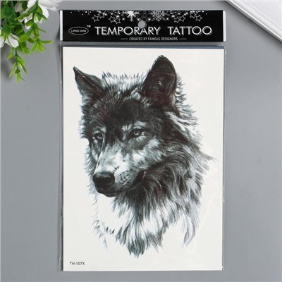 Татуировка на тело чёрная "Волк" 21х15 см