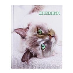 Дневник для 5-11 классов, "Кошка", твердая обложка 7БЦ, глянцевая ламинация, 48 листов