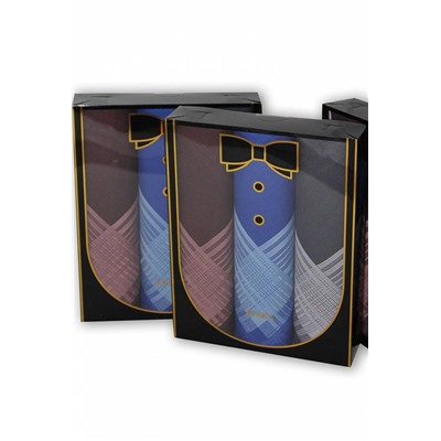 Подарочный набор мужских носовых платков "ETNICA" 3 шт