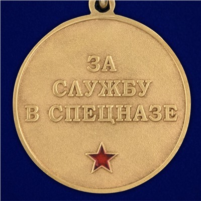 Медаль За службу в 27 ОСН "Кузбасс" на подставке, №2945