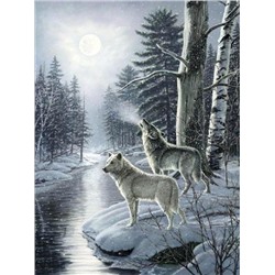 Пара волков в зимнем лесу