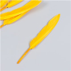 Набор декоративных перьев 60-150 мм (5 шт), тёмно-жёлтый