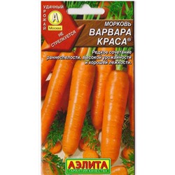 Морковь Варвара краса (Код: 72826)