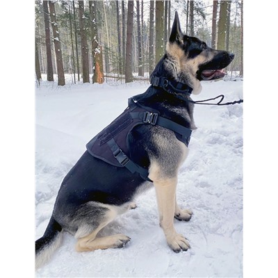 Профессиональный тактический жилет для собак Icefang Army Style Cobra (черный), - Идеально подходит для дрессировки собак крупных и средних по размерам пород. Жилет имеет два зажима - передний и задний, для различных режимов использования. Материал: прочный нейлон снаружи с мягкой подкладкой и вентилируемой сеткой №720