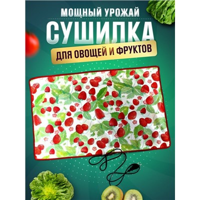 Сушилка для овощей и фруктов Мощный Урожай, 33х55 см., Земляника