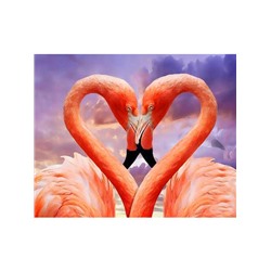 Влюбленные фламинго