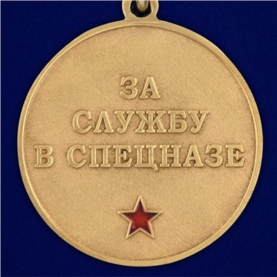 Медаль За службу в 23-м ОСН "Оберег", №2939