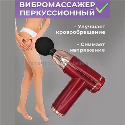 Массажёр для тела Massage Gun SL21 Red (15)