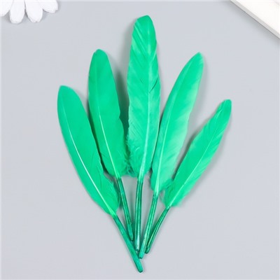 Набор декоративных перьев 60-150 мм (5 шт), зелёный