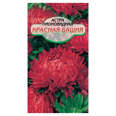 Красная башня астра 60-65см 0,2гр.(ссс)