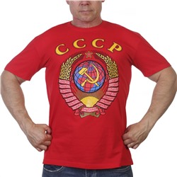 Футболка с Советской символикой, - когда я был совсем юнцом и жил в СССР, меня все звали молодцом и ставили в пример №3