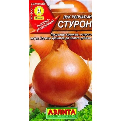 Лук репчатый Стурон (Код: 82923)