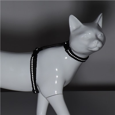 Шлейка для кошек, ширина 1 см, светоотражающий, ОШ 16,5-27 см, ОГ 21-35 см, чёрный