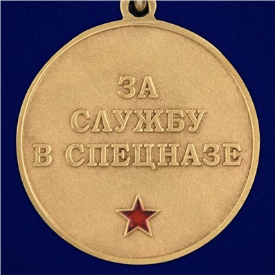 Медаль За службу в 28 ОСН "Ратник" в футляре из флока, №2938
