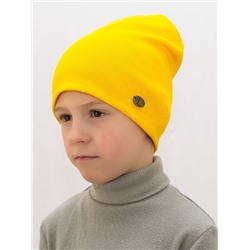 Шапка для мальчика (Цвет желтый), размер 48-50,  хлопок 95%