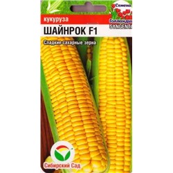 Кукуруза Шайнрок F1 (Код: 86609)