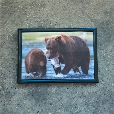 3Д картинка "Медведица с медвежонком на рыбалке" 9,5 х 14,5 см х М-0014, голографическая открытка с изображением медведей, без рамки