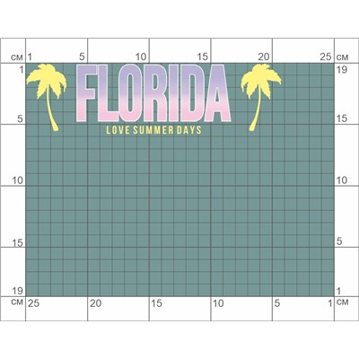 06-156 Термотрансфер Надпись Флорида с пальмами 5х20см