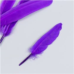 Набор декоративных перьев 60-150 мм (5 шт), фиолетовый