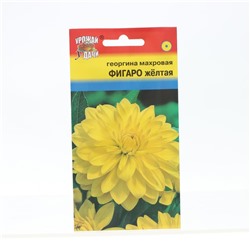 Семена цветов Георгина "Фигаро", Жёлтая, 0,05 г