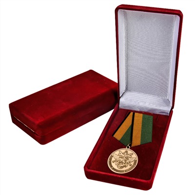 Нагрудная медаль "За образцовое исполнение воинского долга" МО РФ, Учреждение: 03.11.2022 №243 - в бордовом подарочном футляре
