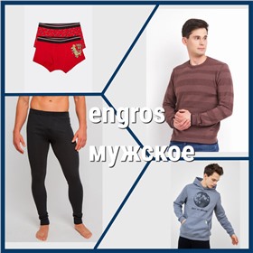engros мужское (трикотаж, носки, белье TORRO и CLEVER)