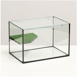 Террариум с покровным стеклом и мостиком 12 литров, 30 х 20 х 20 см