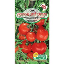 Монгольский карлик томат  20 шт (ссс)