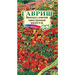 Виноград Нептун триостренный 5 шт (г)