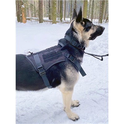 Жилет специального назначения для собак K9 Tactical (черный), - Жилет разработан для собак на армейской и полицеской службе, но подойдет и для гражданских собак крупного и среднего размера. На каждой стороне есть два ремня MOLLE, а также панель с обручем и петлями, чтобы легко прикрепить подсумки или ID-патчи.№721
