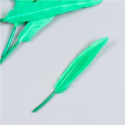 Набор декоративных перьев 60-150 мм (5 шт), зелёный