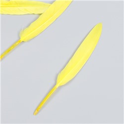 Набор декоративных перьев 60-150 мм (5 шт), жёлтый