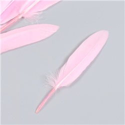Набор декоративных перьев 60-150 мм (5 шт), светло-розовый