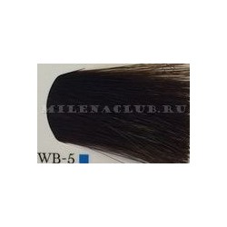 Lebel Полуперманентная краска для волос Materia µ тон WB-5 80 г