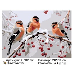 PH23 CN0102, 20х30 см