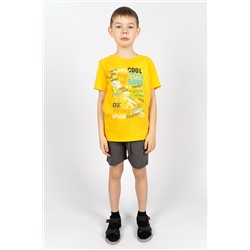 Комплект для мальчика 4292 (футболка + шорты)