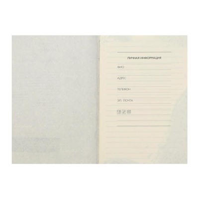 Записная книжка, А6, 80 листов, в линейку, «Лак голографик», интегральная обложка, искусственная кожа, тонированный блок 70г/м², серебряный